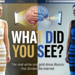 White and Gold Dress