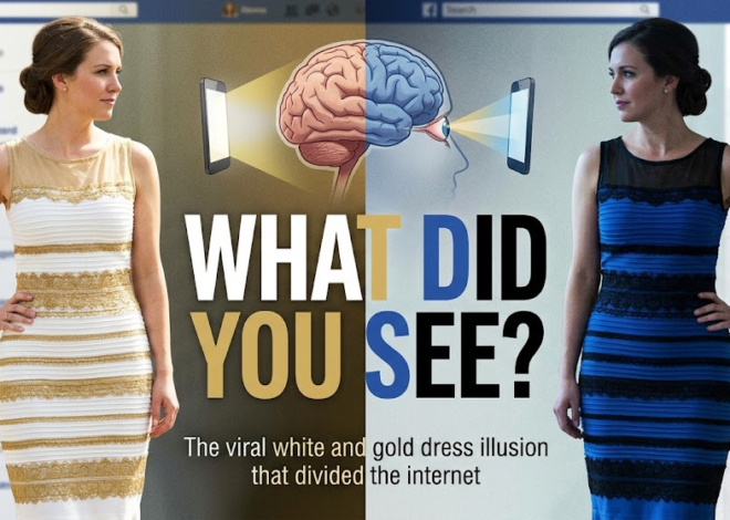 The White and Gold Dress Mystery: What Did You See